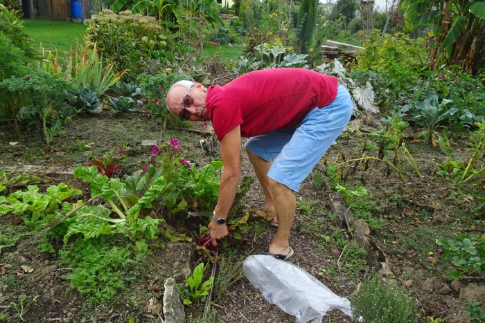 2022_Solarbacken_Garten
